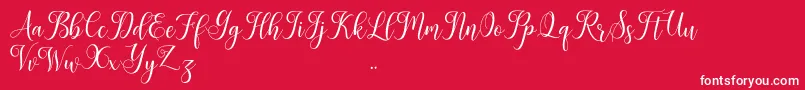 Leisha Font – White Fonts on Red Background