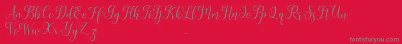 More about Leisha Font Leisha Font – Gray Fonts on Red Background