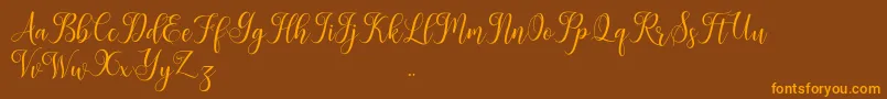 Leisha Font – Orange Fonts on Brown Background