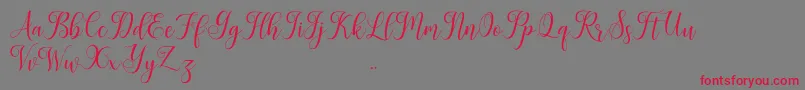 Leisha Font – Red Fonts on Gray Background