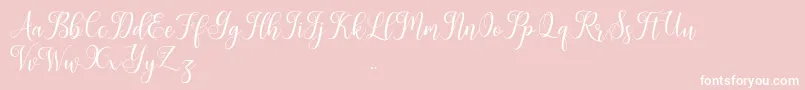Leisha Font – White Fonts on Pink Background