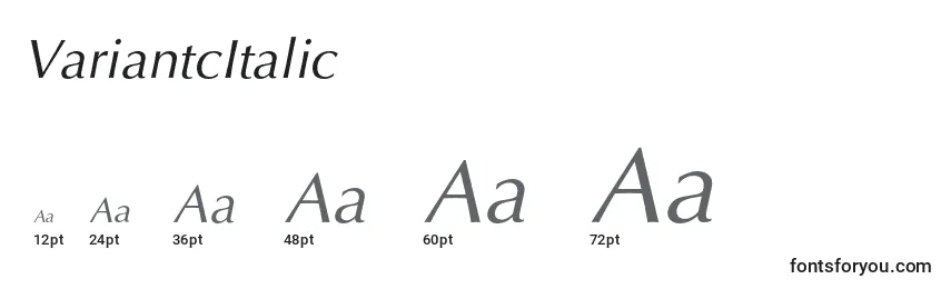VariantcItalic Font Sizes