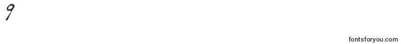 Lemonfnt Font – Fonts for Digit 9