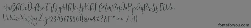 Lerina Script-fontti – mustat fontit harmaalla taustalla