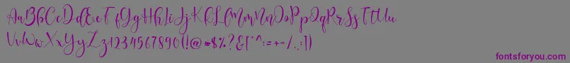 Lerina Script-Schriftart – Violette Schriften auf grauem Hintergrund