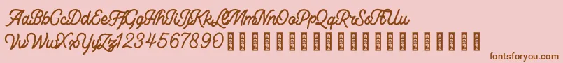 Lesley Font – Brown Fonts on Pink Background