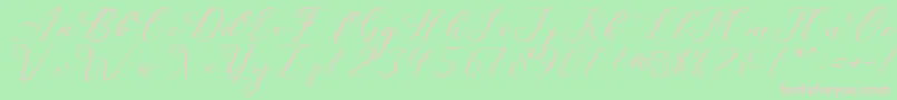 fuente LeslieDawn – Fuentes Rosadas Sobre Fondo Verde