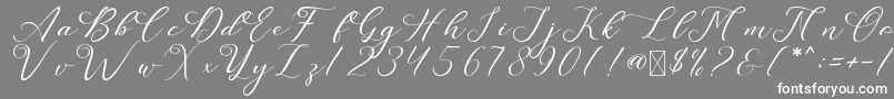 LeslieDawn Font – White Fonts on Gray Background