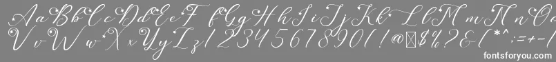 LeslieDawnStar Font – White Fonts on Gray Background