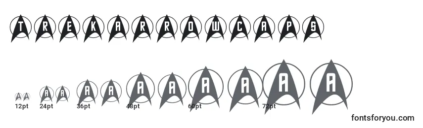 TrekArrowcaps Font Sizes