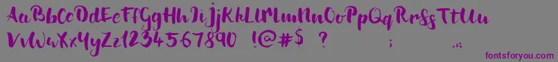 CupOfSea-fontti – violetit fontit harmaalla taustalla