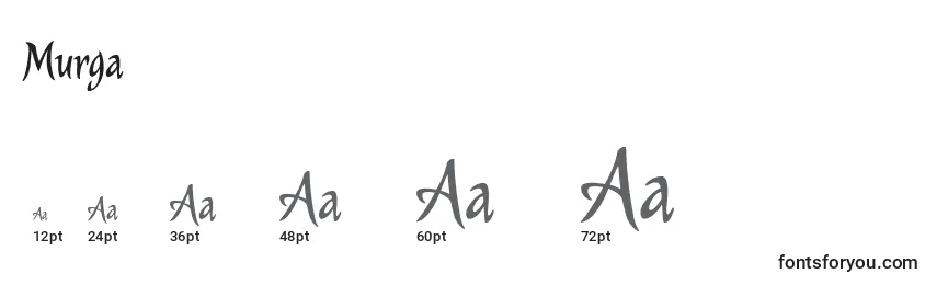 Murga Font Sizes