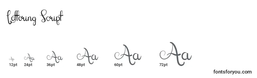 Размеры шрифта Lettering Script