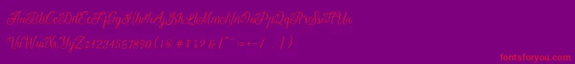 Letterline Font – Red Fonts on Purple Background