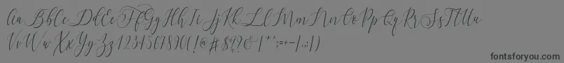 フォントLetternisa   – 黒い文字の灰色の背景