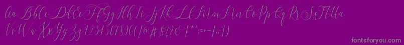 Letternisa  -Schriftart – Graue Schriften auf violettem Hintergrund