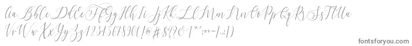 フォントLetternisa   – 白い背景に灰色の文字