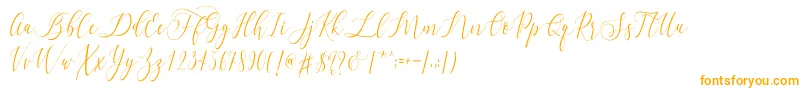 Letternisa   Font – Orange Fonts on White Background