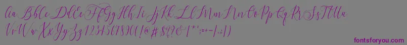 Letternisa  -Schriftart – Violette Schriften auf grauem Hintergrund