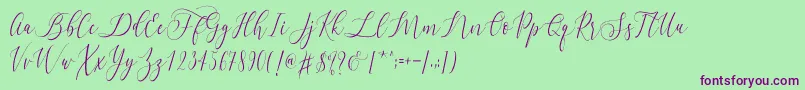 Letternisa   Font – Purple Fonts on Green Background
