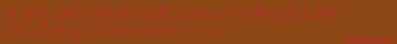 Letternisa   Font – Red Fonts on Brown Background