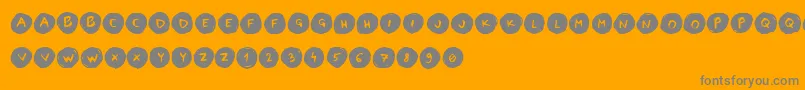 LettersinCirclesBook Font – Gray Fonts on Orange Background