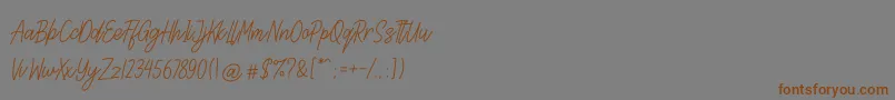 Lettia Font – Brown Fonts on Gray Background