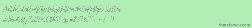 Lettia Font – Gray Fonts on Green Background