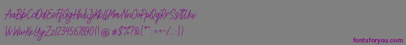 フォントLettia – 紫色のフォント、灰色の背景