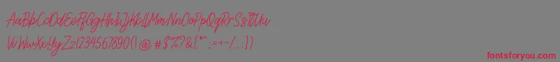 Lettia-Schriftart – Rote Schriften auf grauem Hintergrund