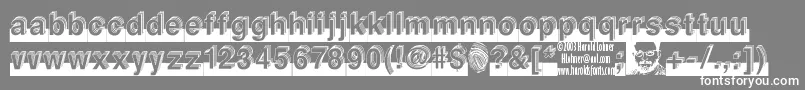 フォントLEVEL    – 灰色の背景に白い文字
