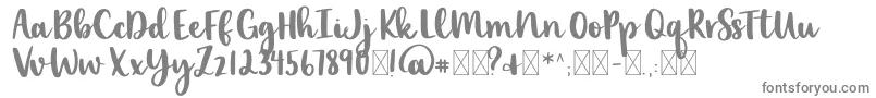 lexi new-Schriftart – Graue Schriften auf weißem Hintergrund