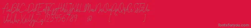 Liberika Oblique-Schriftart – Graue Schriften auf rotem Hintergrund