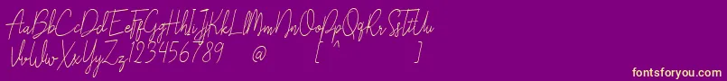 Liberika Oblique Font – Yellow Fonts on Purple Background