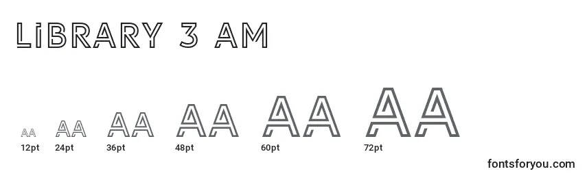 Library 3 am Font Sizes