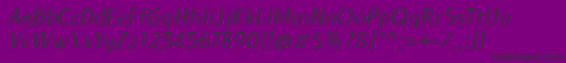 LIEUR Italic PERSONAL USE ONLY Font – Black Fonts on Purple Background