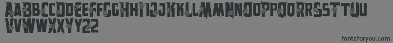 Vtksalpes Font – Black Fonts on Gray Background