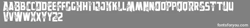 Vtksalpes Font – White Fonts on Gray Background