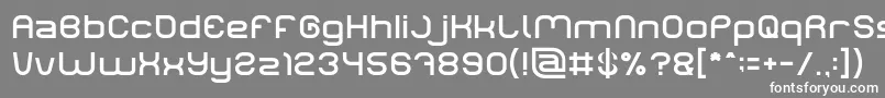 LIFE FOR FUN Light Font – White Fonts on Gray Background