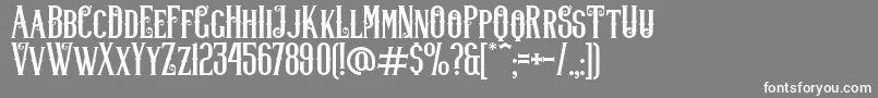 Lifer Font – White Fonts on Gray Background
