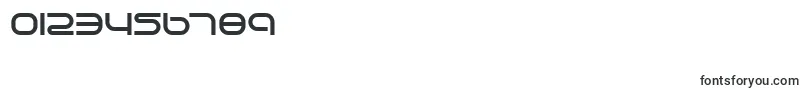 lifesupb Font – Fonts for Numbers and Digits