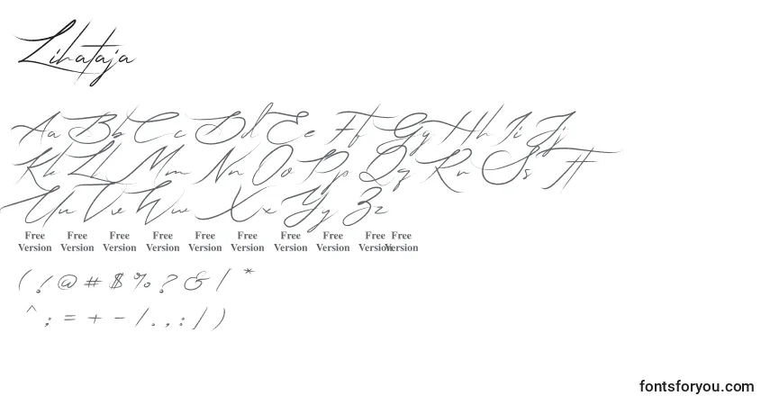 Шрифт Lihataja (132609) – алфавит, цифры, специальные символы