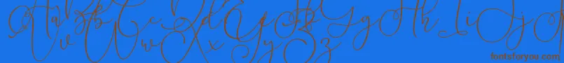Lilypaly Font – Brown Fonts on Blue Background