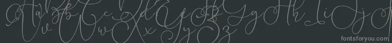 Lilypaly Font – Gray Fonts on Black Background