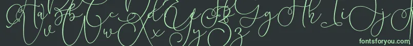 Lilypaly Font – Green Fonts on Black Background