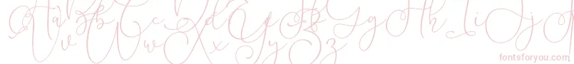 Lilypaly Font – Pink Fonts on White Background