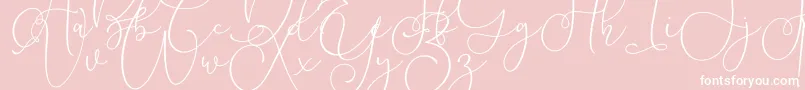 Lilypaly-Schriftart – Weiße Schriften auf rosa Hintergrund