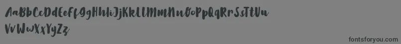LilyWhite-Schriftart – Schwarze Schriften auf grauem Hintergrund