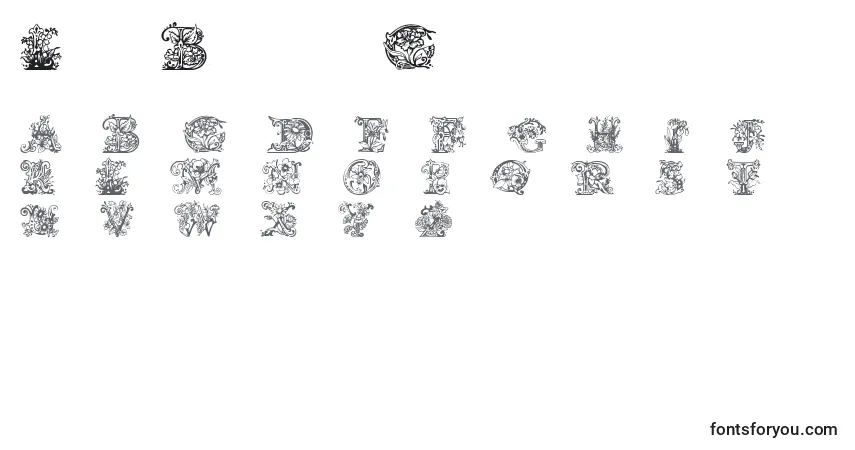Шрифт Lime Blossom Caps – алфавит, цифры, специальные символы