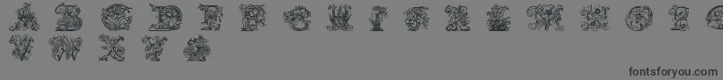 Lime Blossom Caps Font – Black Fonts on Gray Background